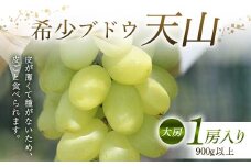 希少ブドウ 天山 大房 1房入り 900g以上 F2Y-6175