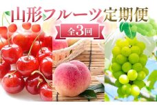 定期便 6月 佐藤錦 500g 8月 桃 6玉～9玉 9月 シャインマスカット 1房【令和8年発送】 FSY-2194