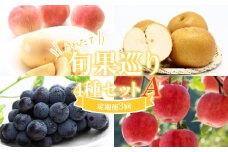 ≪数量限定 期間限定≫とれたて旬果巡り4種セットA 白桃と和梨 ピオーネ サンふじりんご 定期便【全3回】 FSY-2225