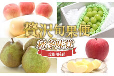 ≪数量限定 期間限定≫贅沢旬果便 ～秋冬味覚～ 白桃 シャインマスカット ラ・フランス サンふじりんご 定期便【全4回】 FSY-2428