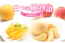 ≪数量限定 期間限定≫三つの桃物語 柔らかめ白桃 黄桃 硬め白桃 定期便【全3回】 FSY-2429