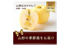 山形県産 はるかりんご 約2.5kg 7～9玉 高糖度のりんご FSY-2187