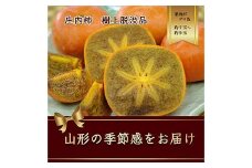 樹上脱渋 庄内柿 果肉が黒ゴマ色の種無し柿 7～9玉(約2kg) 【2025年発送】 FSY-2190