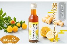 【萬屋薬局】黄のジンジャーエール 180ml×2本 F2Y-6319