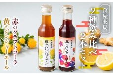 【萬屋薬局】2種飲み比べ2本セット 赤のクラフトコーラ・黄のジンジャーエール F2Y-6320