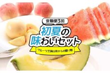 フルーツ王国山形からの贈り物～初夏の味わいセット～（3回） FSY-2220