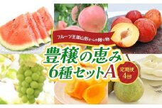 フルーツ王国山形からの贈り物 ～豊穣の恵み6種セットA～ FSY-2222