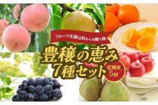 フルーツ王国山形からの贈り物 ～豊穣の恵み7種セット～ FSY-2221