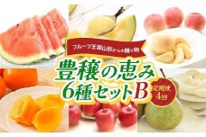 フルーツ王国山形からの贈り物 ～豊穣の恵み6種セットB～ FSY-2223