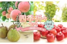 フルーツ王国山形からの贈り物 ～四季折々セット～ FSY-2224