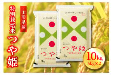【令和6年度産】山形県産 特別栽培米 つや姫 精米 10kg(5kg×2) F2Y-3908