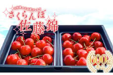 【2026年先行予約】さくらんぼ「佐藤錦」600g 秀品 Lサイズ以上 山形県産 FSY-1202