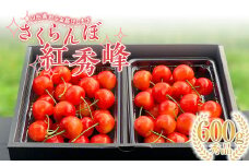 【2026年先行予約】さくらんぼ「紅秀峰」600g 秀品 2Lサイズ以上 山形県産 FSY-1203