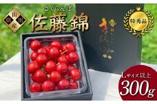 【2026年先行予約】さくらんぼ「佐藤錦」300g 特秀品 Lサイズ以上 山形県産 FSY-1204