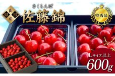 【2026年先行予約】さくらんぼ「佐藤錦」600g 特秀品 Lサイズ以上 山形県産 FSY-1206