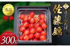 【先行受付（令和8年度発送）】 2026年産 さくらんぼ「佐藤錦」300g 秀品 Lサイズ以上 山形県産 FSY-2084