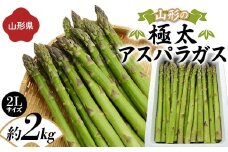 《先行予約 2026年度発送》山形の極太アスパラガス 約2kg（2Lサイズ） FSY-1265