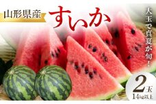 山形県産 スイカ 2玉 14kg以上 大玉で真夏が旬 フルーツ 果物 FSY-2422
