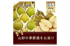 【2025年発送】西洋梨 約7玉～約16玉 約5kg《品種指定はできません》  なし ナシ 梨 デザート フルーツ 果物 くだもの 果実 食品 山形県 FSY-2415