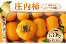 《2025年度発送》庄内柿 種無しで食べやすい 刀根早生柿及び平核無柿 約5kg 約24玉～約30玉  柿 かき デザート フルーツ 果物 くだもの 果実 食品 山形県 FSY-2417