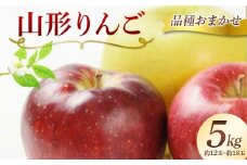 山形県産 りんご 約5kg（約12～18玉） 品種おまかせ（赤色と黄色もおまかせ） フルーツ 果物 FSY-2423