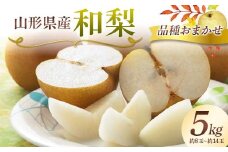 山形県産 和梨（品種おまかせ） 5kg（約8～14玉） なし 果物 フルーツ FSY-2424