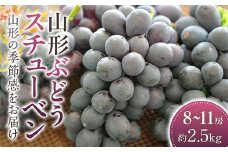 スチューベン ぶどう 約8～約11房 約2.5kg【2025年9月から発送】  ブドウ 葡萄 デザート フルーツ 果物 くだもの 果実 食品 山形県 FSY-2412
