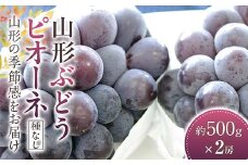 山形ピオーネ ぶどう 500g×2房《種なし品種です》【2025年9月から発送】  ブドウ 葡萄 デザート フルーツ 果物 くだもの 果実 食品 山形県 FSY-2413