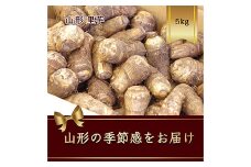 山形県産 里芋 5kg【2025年9月から発送】  根菜 野菜 食品 山形県 FSY-2418