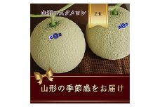 山形県庄内産 マスクメロン 2玉 約2.6kg 緑肉 【2025年8月から発送】  青肉メロン メロン 青肉 デザート フルーツ 果物 くだもの 果実 食品 山形県 FSY-2410