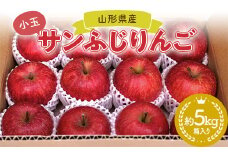 【2025年12月発送開始】小玉ふじりんご 山形県産 小玉りんご（サンふじりんご）約5kg 箱入り FSY-0880