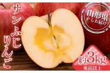 山形県産 厳選完熟サンふじりんご 秀品以上 約3kg 化粧箱（8～12玉入り）《2025年12月上旬発送開始》  りんご リンゴ 林檎 デザート フルーツ 果物 くだもの 果実 食品 山形県 FSY-1353