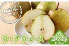 山形県産 厳選ラ・フランス 特秀品 3kg 化粧箱（8～10玉入り）《2025年11月発送開始》  なし ナシ 梨 デザート フルーツ 果物 くだもの 果実 食品 山形県 FSY-1356
