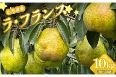 山形県産 ラ・フランス 秀 10kg（5kg×2）20～32玉 FSY-2255