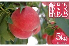 山形県産 桃 5kg（10～16玉） FSY-2299