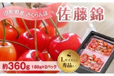 先行予約（令和8年発送） 山形県産 さくらんぼ 佐藤錦 約360g FSY-2296