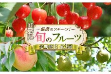 令和8年6月発送開始 山形県 厳選のフルーツ！ 山形県旬のフルーツ定期便B 全3回 FSY-2277