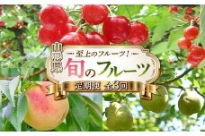 令和8年6月発送開始 山形県 至上のフルーツ！ 山形県旬のフルーツ定期便 全3回 FSY-2278
