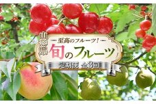 令和8年6月発送開始 山形県 至高のフルーツ！ 山形県旬のフルーツ定期便 全3回 FSY-2279