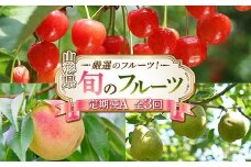 令和8年6月発送開始 山形県 厳選のフルーツ！ 山形県旬のフルーツ定期便A 全3回 FSY-2280