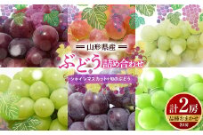 【2025年度発送】山形県産 ぶどう 詰め合わせ （シャインマスカット1房＋品種おまかせ１房 計2房）  マスカット ブドウ 葡萄 デザート フルーツ 果物 くだもの 果実 食品 山形県 FSY-0663