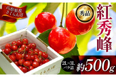 《先行受付2026年度発送》山形県産 さくらんぼ 紅秀峰 秀品 2L～3Lサイズ 約500gバラ詰め FSY-1215