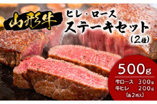 山形牛ヒレ･ロースステーキセット (2種) 500g 牛肉 肉 山形県 山形市 食品 ステーキ ヒレ ロース 高橋畜産 FZ18-480