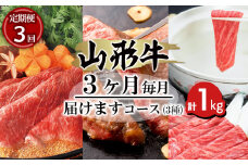 【定期便3回】山形牛3ヶ月毎月届けますコース (3種) 計1kg 牛肉 肉 山形県 山形市 食品 すき焼 ステーキ しゃぶしゃぶ 食べくらべ ロース 牛ロース 高橋畜産 FY18-483