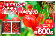 さくらんぼ 紅秀峰(ハウス)特選 バラ詰め 2L以上 約600g 【令和7年産先行予約】FS24-629くだもの 果物 フルーツ 山形 山形県 山形市 2025年産