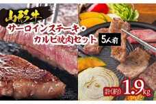 山形牛サーロインステーキ・カルビ焼肉セット  (5人前) FY18-340 ブランド牛肉 ステーキ肉 焼肉用 山形県 山形市