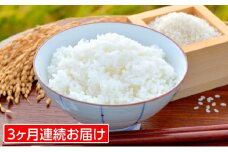 【定期便3回】 山形米 (つや姫)5kg (＋醤油付き)×3回 FZ18-911 ブランド米 山形県 山形市