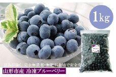 山形市産 冷凍ブルーベリー 1kg  FZ18-202
