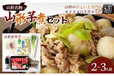 山形名物 山形芋煮セット 2～3人前(山形産里芋) 芋煮 芋 里芋 山形市 山形 名物 郷土料理 芋煮鍋 セット  FZ18-993