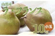 山形のラ・フランス小玉 約10kg(36～48玉・サイズM～2L) FZ22-075